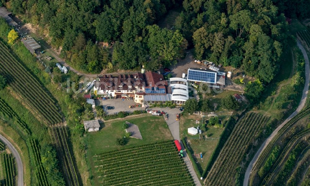 Luftbild Ihringen - Weinbergs- Landschaft der Winzer- Gebiete Lenzenberg in Ihringen im Bundesland Baden-Württemberg, Deutschland