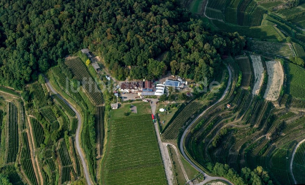 Luftaufnahme Ihringen - Weinbergs- Landschaft der Winzer- Gebiete Lenzenberg in Ihringen im Bundesland Baden-Württemberg, Deutschland