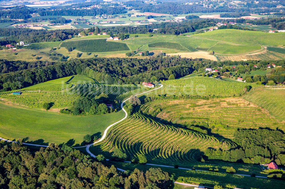 Luftbild Mestni Vrh - Weinbergs- Landschaft der Winzer- Gebiete in Mestni Vrh in Ptuj, Slowenien