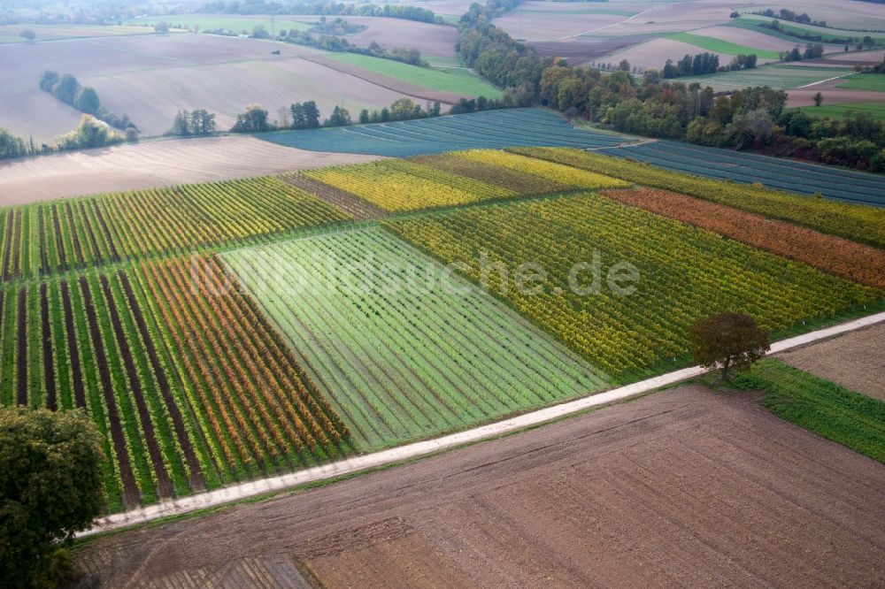 Minfeld von oben - Weinbergs- Landschaft der Winzer- Gebiete in Minfeld im Bundesland Rheinland-Pfalz