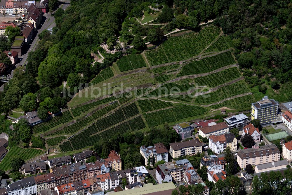 Luftbild Oberau - Weinbergs- Landschaft der Winzer- Gebiete in Oberau im Bundesland Baden-Württemberg, Deutschland