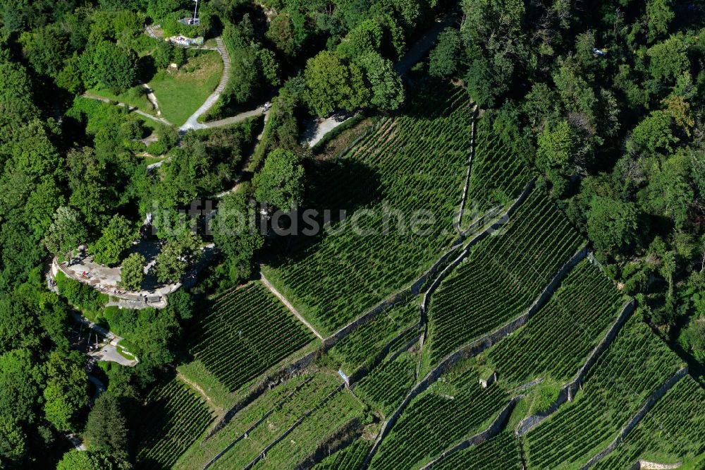Luftaufnahme Oberau - Weinbergs- Landschaft der Winzer- Gebiete in Oberau im Bundesland Baden-Württemberg, Deutschland