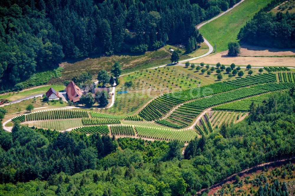 Luftaufnahme Oberkirch - Weinbergs- Landschaft der Winzer- Gebiete in Oberkirch im Bundesland Baden-Württemberg, Deutschland