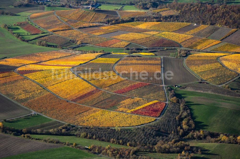 Luftbild Oberschwarzach - Weinbergs- Landschaft der Winzer- Gebiete in Oberschwarzach im Bundesland Bayern, Deutschland