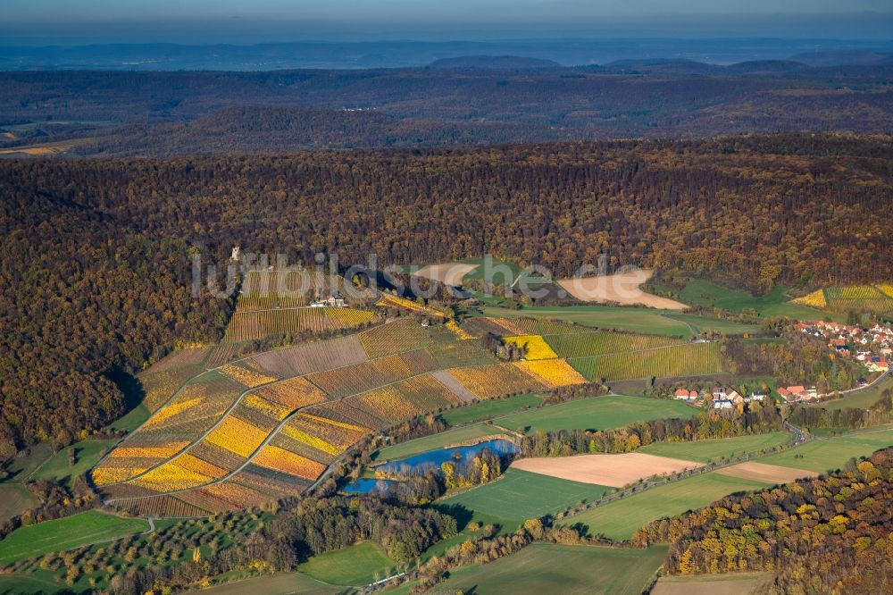 Luftaufnahme Oberschwarzach - Weinbergs- Landschaft der Winzer- Gebiete in Oberschwarzach im Bundesland Bayern, Deutschland
