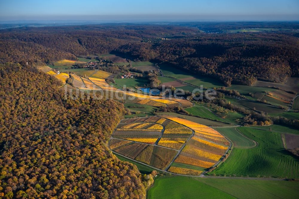 Oberschwarzach aus der Vogelperspektive: Weinbergs- Landschaft der Winzer- Gebiete in Oberschwarzach im Bundesland Bayern, Deutschland