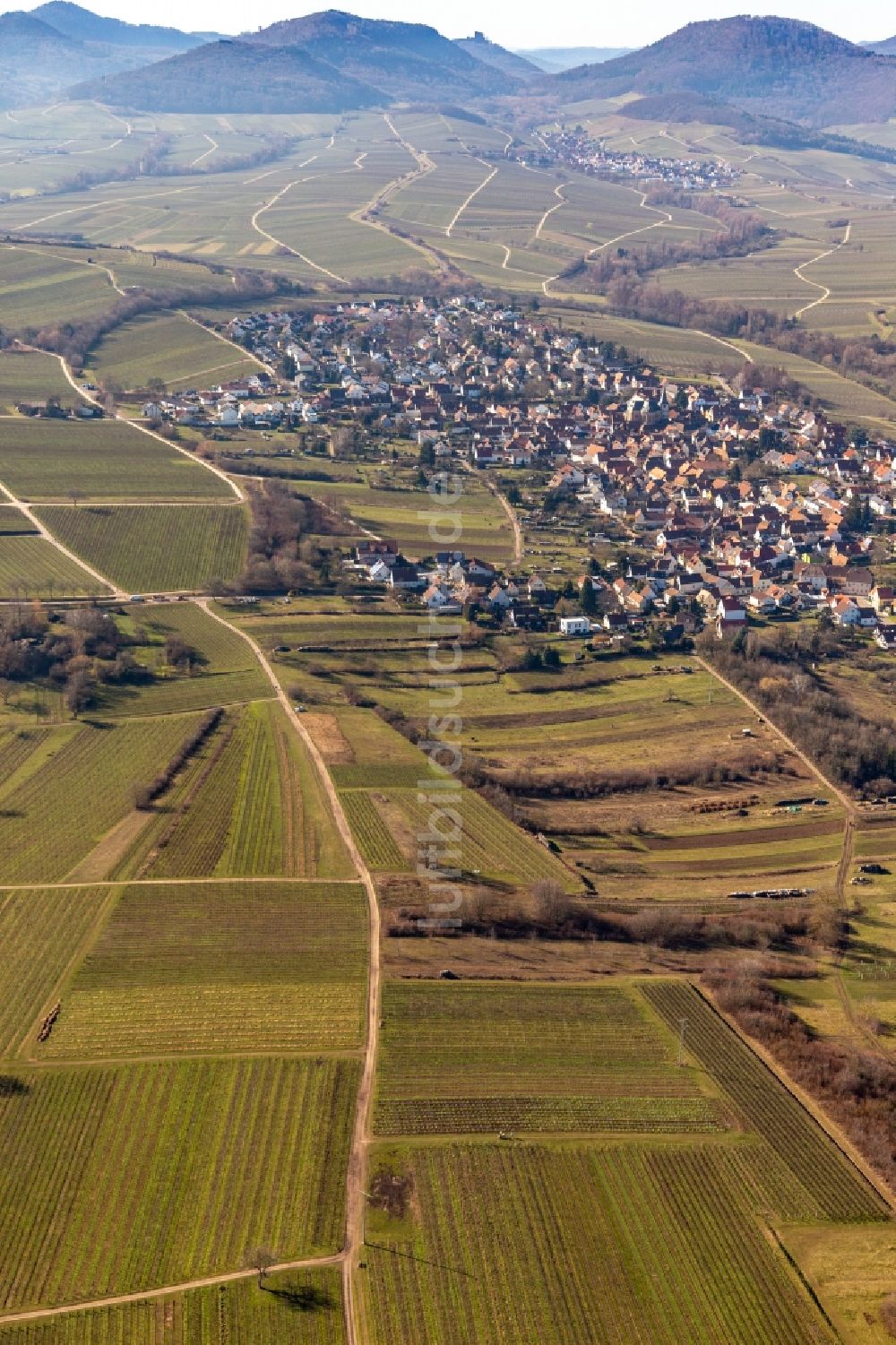 Luftaufnahme Landau in der Pfalz - Weinbergs- Landschaft der Winzer- Gebiete im Ortsteil Arzheim in Landau in der Pfalz im Bundesland Rheinland-Pfalz