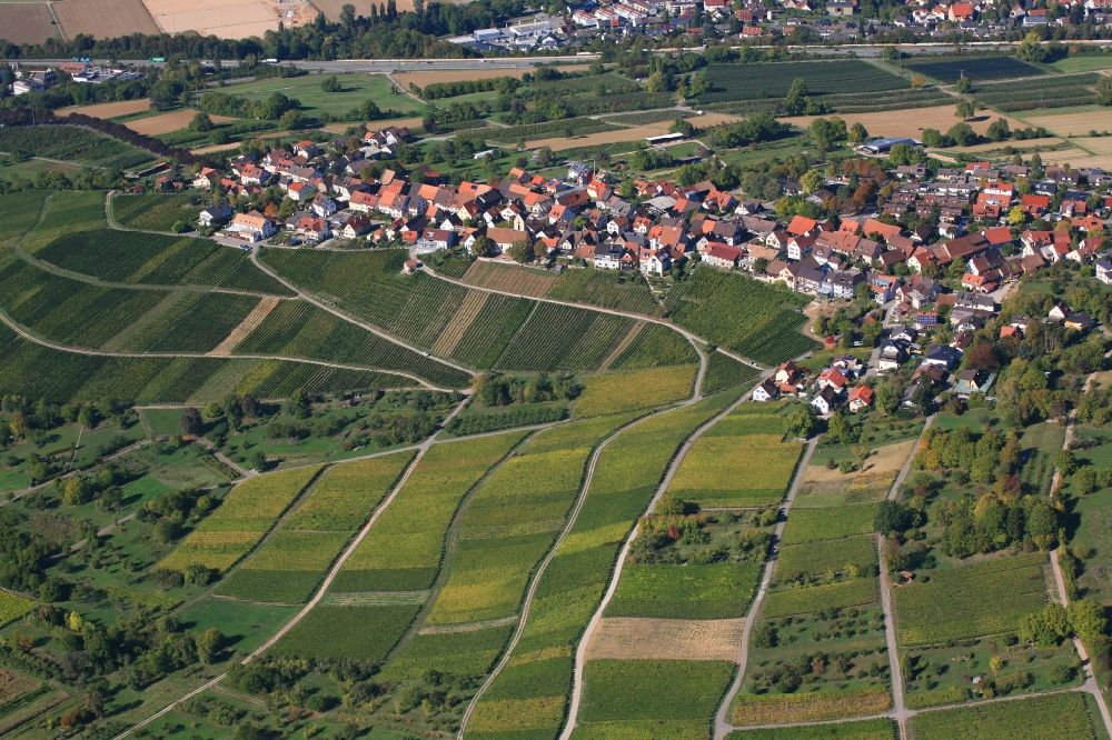 Luftbild Weil am Rhein - Weinbergs- Landschaft der Winzer- Gebiete im Ortsteil Öflingen von Weil am Rhein im Bundesland Baden-Württemberg, Deutschland