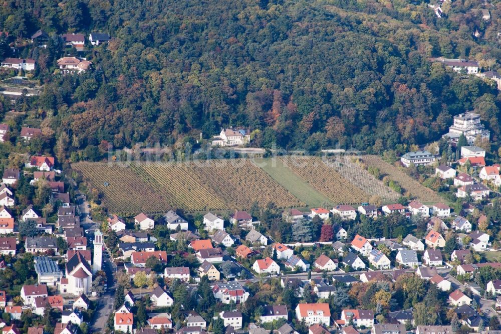Neustadt an der Weinstraße von oben - Weinbergs- Landschaft der Winzer- Gebiete im Ortsteil Hambach in Neustadt an der Weinstraße im Bundesland Rheinland-Pfalz