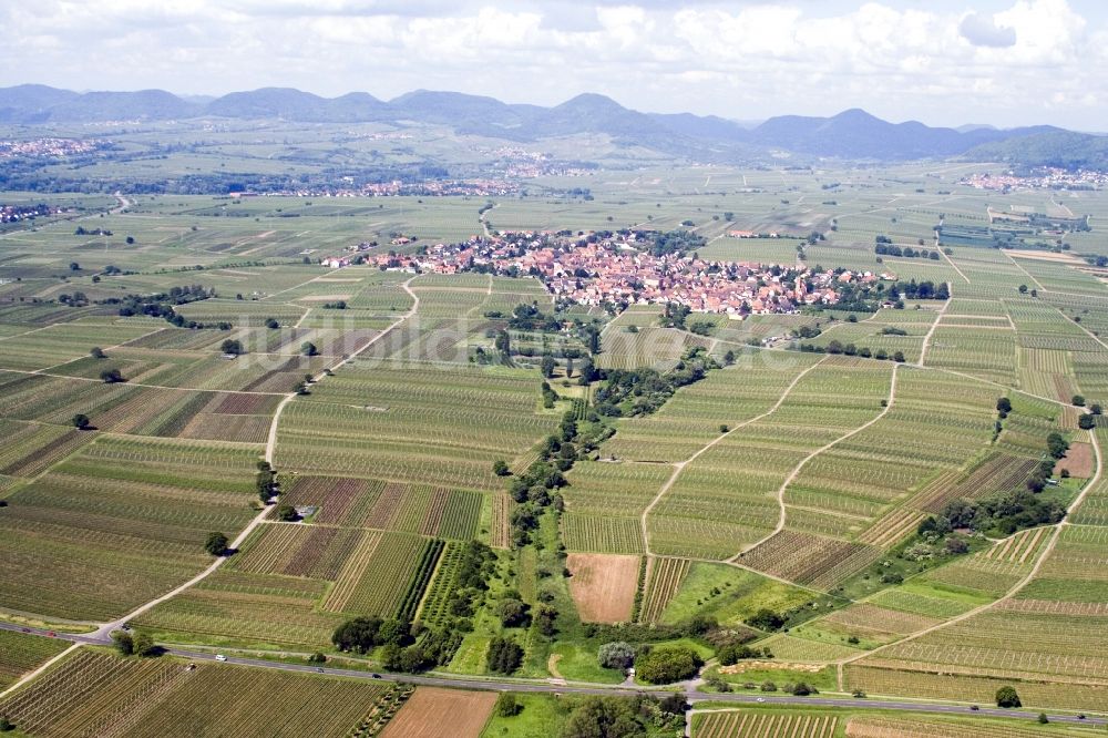 Luftbild Landau in der Pfalz - Weinbergs- Landschaft der Winzer- Gebiete im Ortsteil Nußdorf in Landau in der Pfalz im Bundesland Rheinland-Pfalz