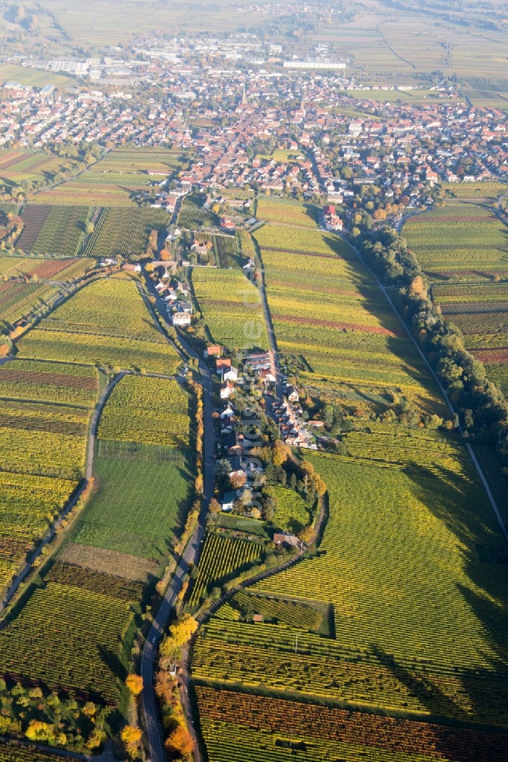 Edenkoben von oben - Weinbergs- Landschaft der Winzer- Gebiete im Ortsteil Siedlung in Edenkoben im Bundesland Rheinland-Pfalz