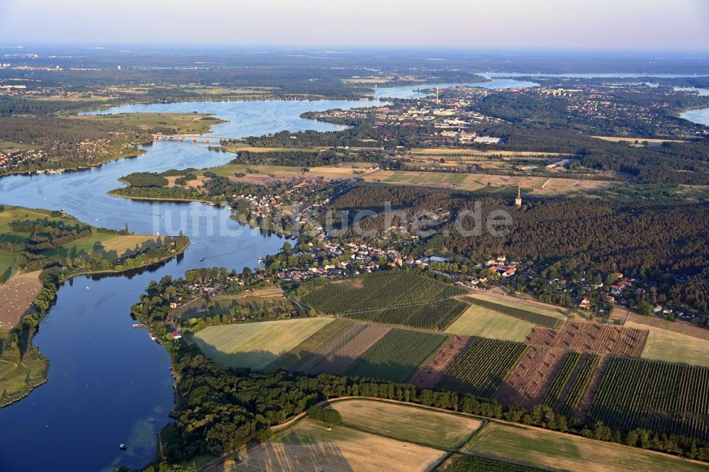Luftaufnahme Werder (Havel) - Weinbergs- Landschaft der Winzer- Gebiete Phöbener Wachtelberg in Werder (Havel) im Bundesland Brandenburg, Deutschland