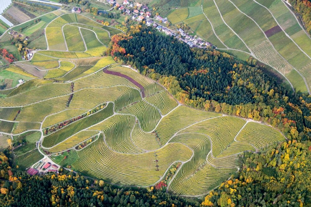 Luftbild Sasbachwalden - Weinbergs- Landschaft der Winzer- Gebiete in Sasbachwalden im Bundesland Baden-Württemberg
