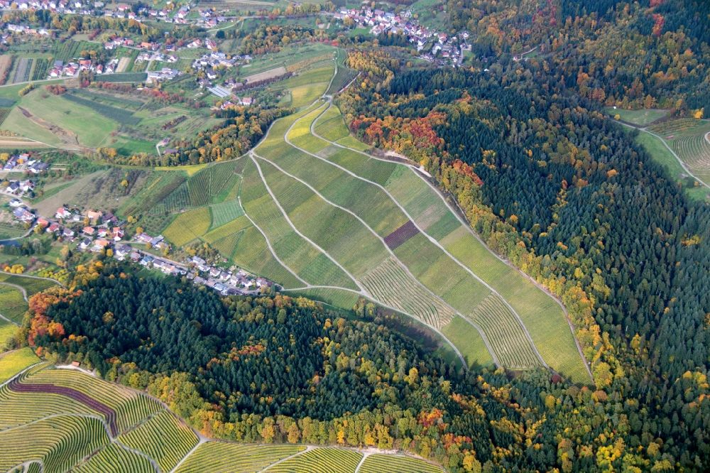 Luftaufnahme Sasbachwalden - Weinbergs- Landschaft der Winzer- Gebiete in Sasbachwalden im Bundesland Baden-Württemberg