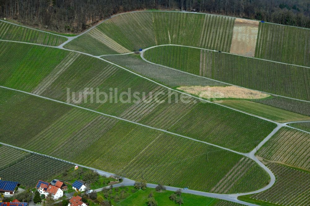 Luftbild Siebeneich - Weinbergs- Landschaft der Winzer- Gebiete in Siebeneich im Bundesland Baden-Württemberg, Deutschland