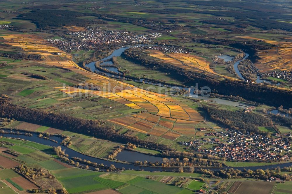 Volkach von oben - Weinbergs- Landschaft der Winzer- Gebiete in Volkach im Bundesland Bayern, Deutschland