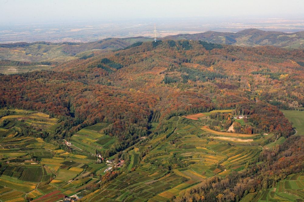 Luftaufnahme Ihringen - Weingärten am Kaiserstuhl bei Ihringen im Bundesland Baden-Württemberg