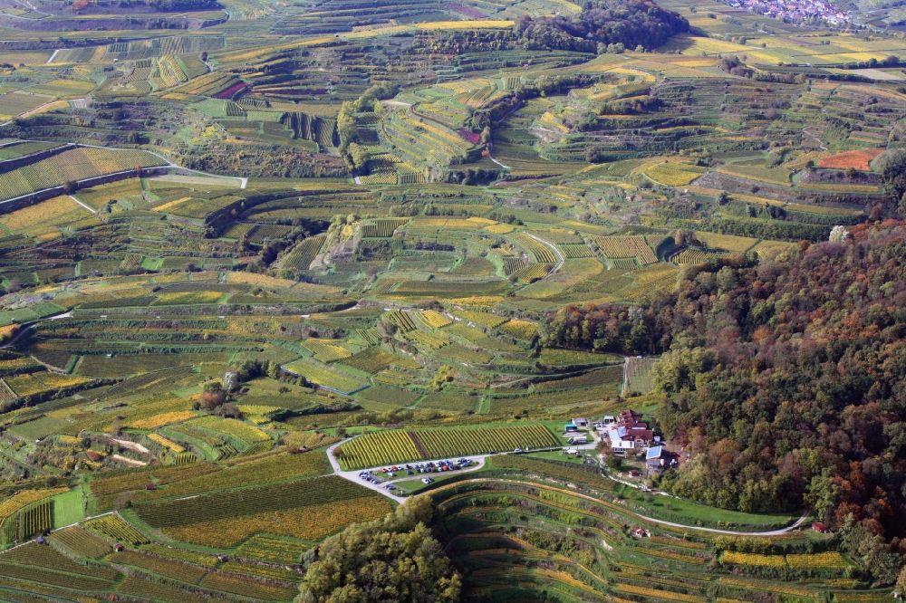 Luftbild Ihringen - Weingärten und Rebterrassen am Kaiserstuhl bei Ihringen im Bundesland Baden-Württemberg
