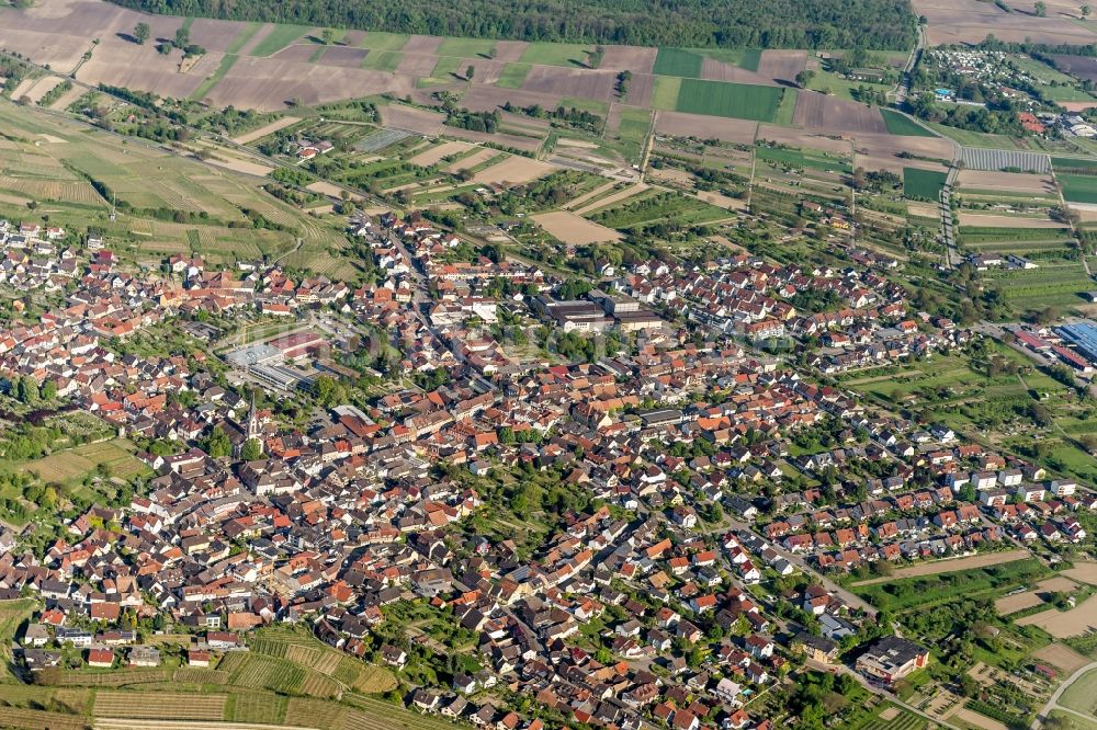 Luftaufnahme Ihringen - Weinstadt Ihringen am Kaiserstuhl im Bundesland Baden-Württemberg