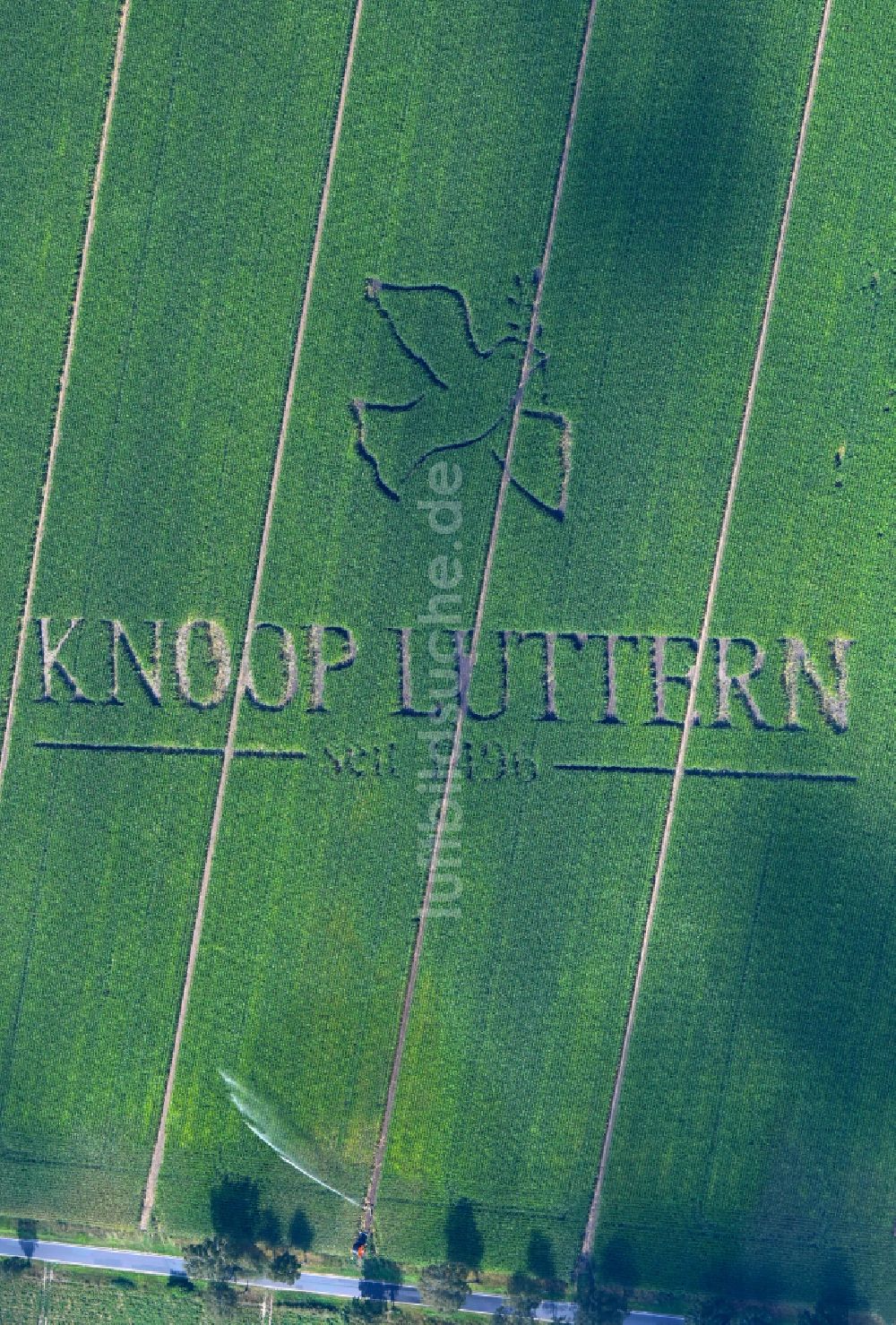 Luftaufnahme Eldingen - Werbeschriftzug KNOOP LUTHERN - seit 1496 in Eldingen im Bundesland Niedersachsen, Deutschland