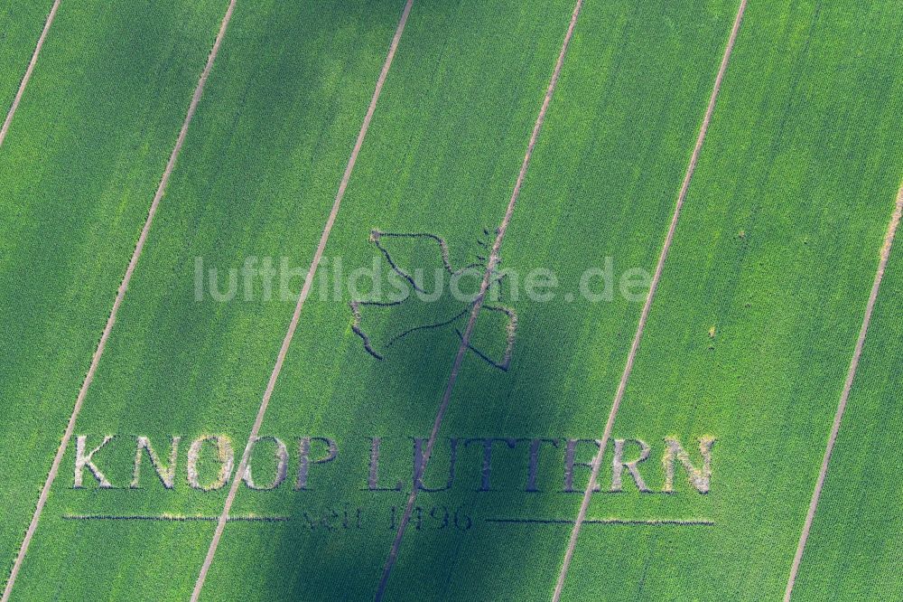 Eldingen aus der Vogelperspektive: Werbeschriftzug KNOOP LUTHERN - seit 1496 in Eldingen im Bundesland Niedersachsen, Deutschland
