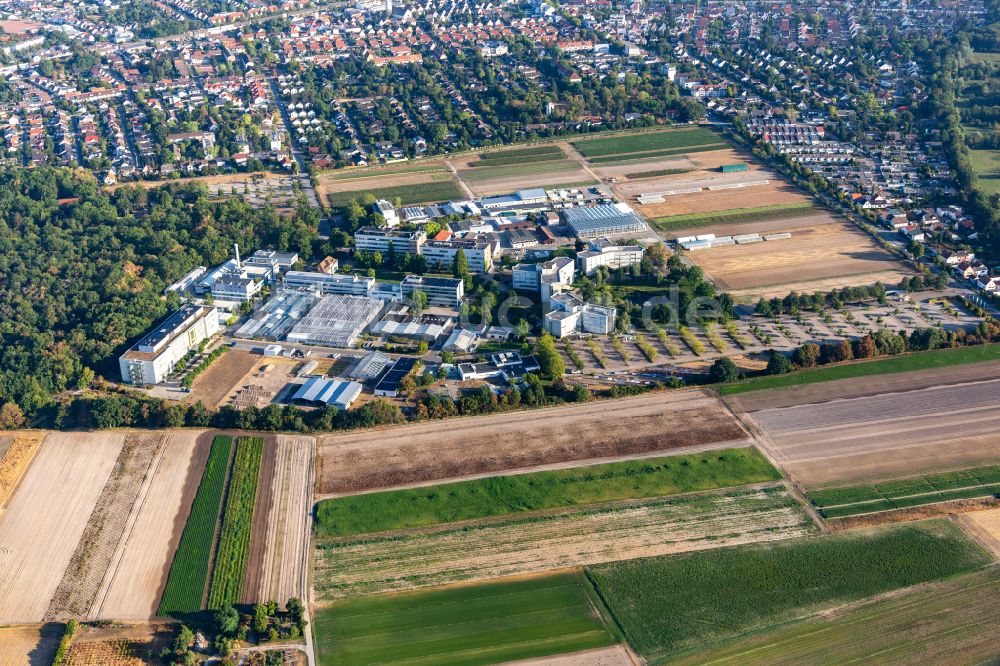 Luftaufnahme Limburgerhof - Werksgelände des BASF Agricultural Center in Limburgerhof im Bundesland Rheinland-Pfalz, Deutschland