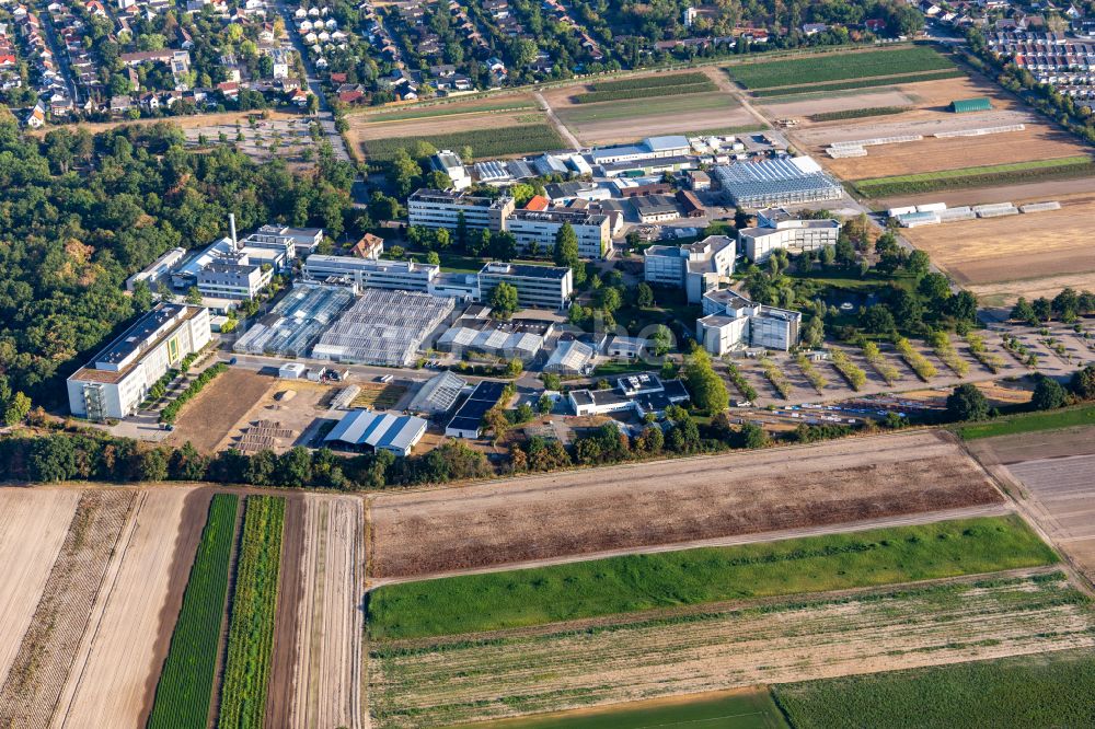 Luftbild Limburgerhof - Werksgelände des BASF Agricultural Center in Limburgerhof im Bundesland Rheinland-Pfalz, Deutschland