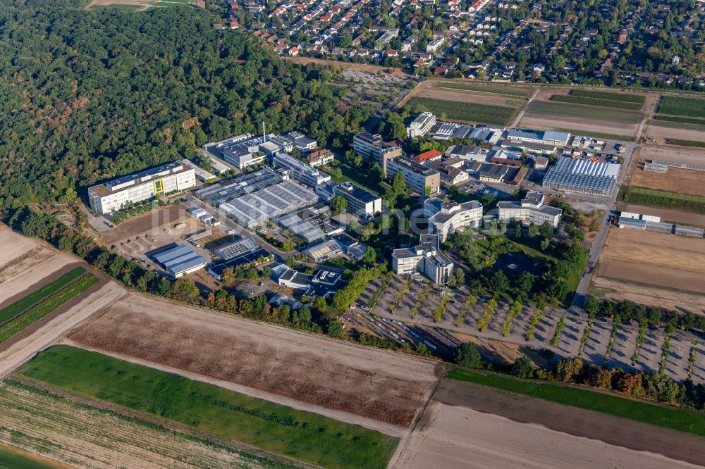 Limburgerhof von oben - Werksgelände des BASF Agricultural Center in Limburgerhof im Bundesland Rheinland-Pfalz, Deutschland