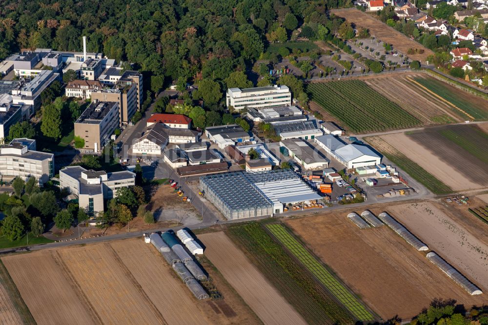 Limburgerhof von oben - Werksgelände des BASF Agricultural Center in Limburgerhof im Bundesland Rheinland-Pfalz, Deutschland