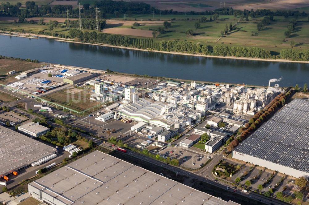 Luftbild Worms - Werksgelände des Chemieproduzenten Grace GmbH am Rheinufer in Worms im Bundesland Rheinland-Pfalz, Deutschland