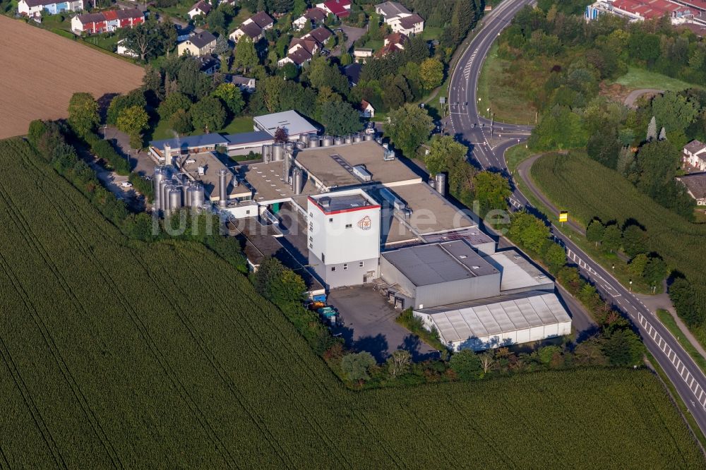 Luftbild Riedlingen - Werksgelände der Molkerei Dairyfood GmbH in Riedlingen im Bundesland Baden-Württemberg, Deutschland