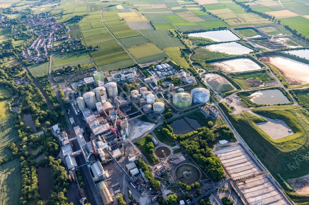 Luftaufnahme Obrigheim (Pfalz) - Werksgelände der Zuckerfabrik Südzucker AG in Obrigheim (Pfalz) im Bundesland Rheinland-Pfalz, Deutschland