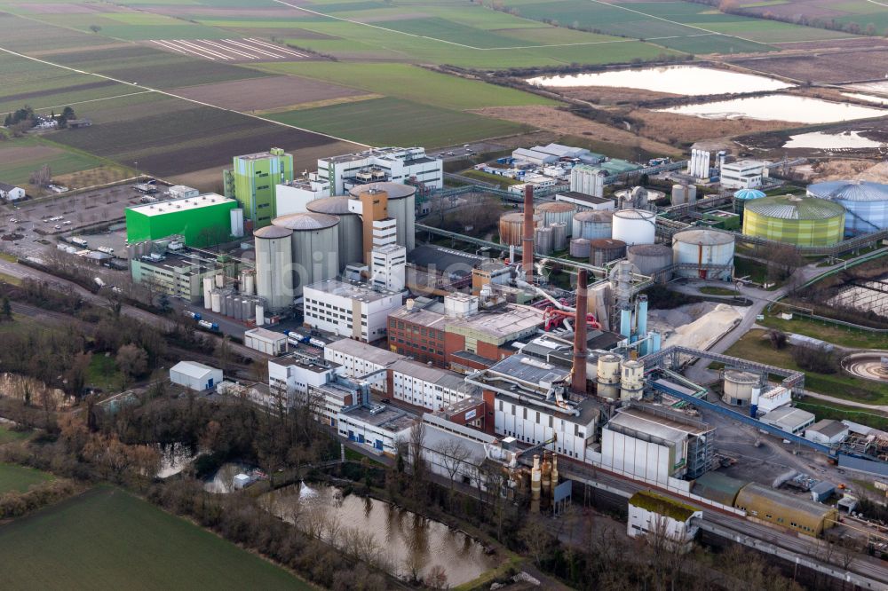 Obrigheim (Pfalz) aus der Vogelperspektive: Werksgelände der Zuckerfabrik Südzucker AG in Obrigheim (Pfalz) im Bundesland Rheinland-Pfalz, Deutschland