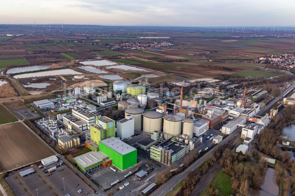 Luftbild Obrigheim (Pfalz) - Werksgelände der Zuckerfabrik Südzucker AG in Obrigheim (Pfalz) im Bundesland Rheinland-Pfalz, Deutschland