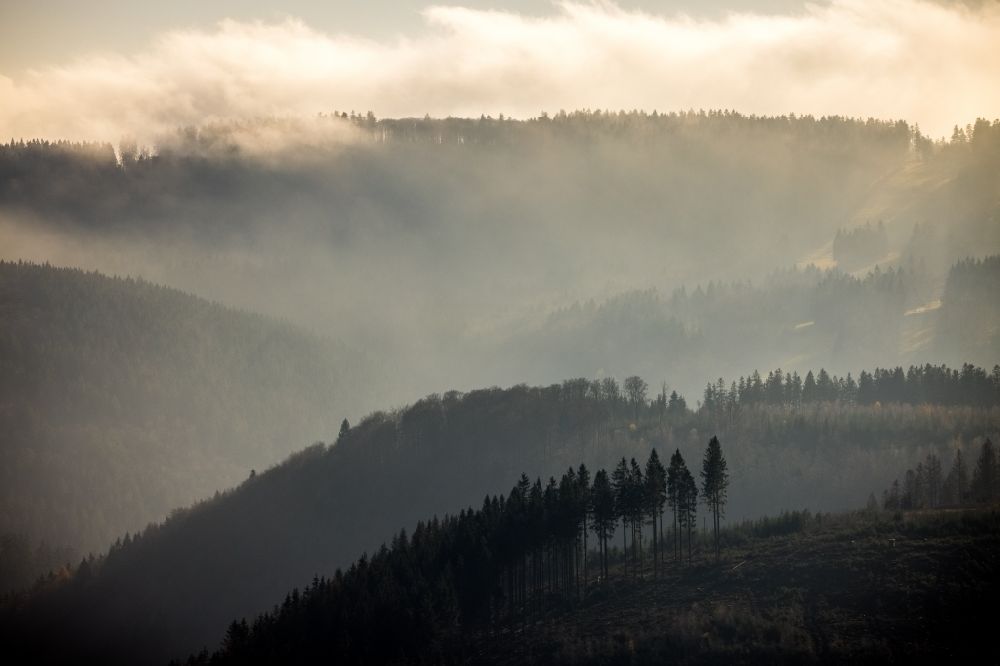 Luftbild Schmallenberg - Wetterlage mit schichtartiger Nebel- Bedeckung über einem Waldgebiet in Schmallenberg im Bundesland Nordrhein-Westfalen, Deutschland