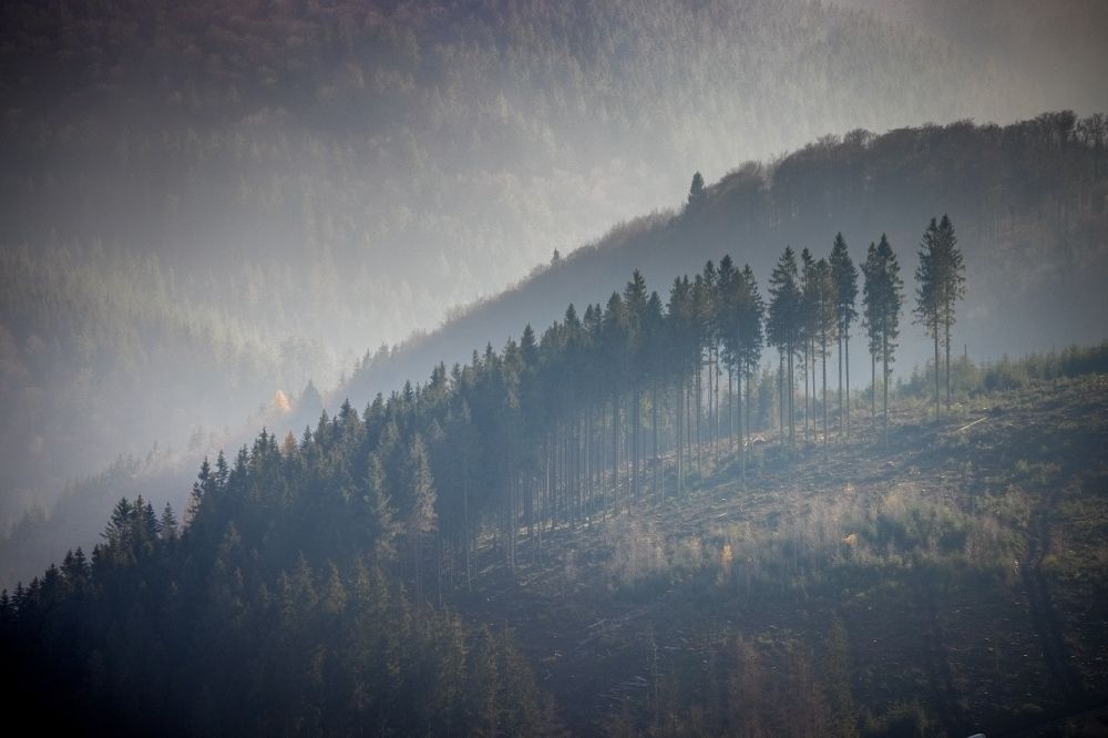Luftbild Schmallenberg - Wetterlage mit schichtartiger Nebel- Bedeckung über einem Waldgebiet in Schmallenberg im Bundesland Nordrhein-Westfalen, Deutschland