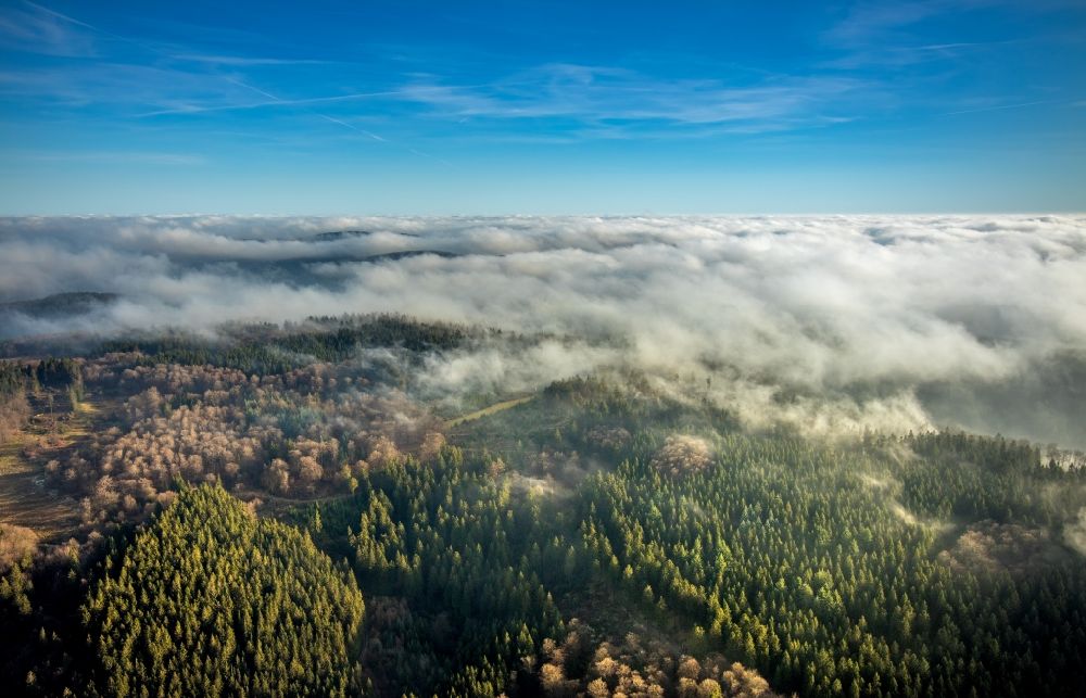 Lengenbeck aus der Vogelperspektive: Wetterlage mit schichtartiger Nebel- Bedeckung über Waldgebieten in Lengenbeck im Bundesland Nordrhein-Westfalen, Deutschland