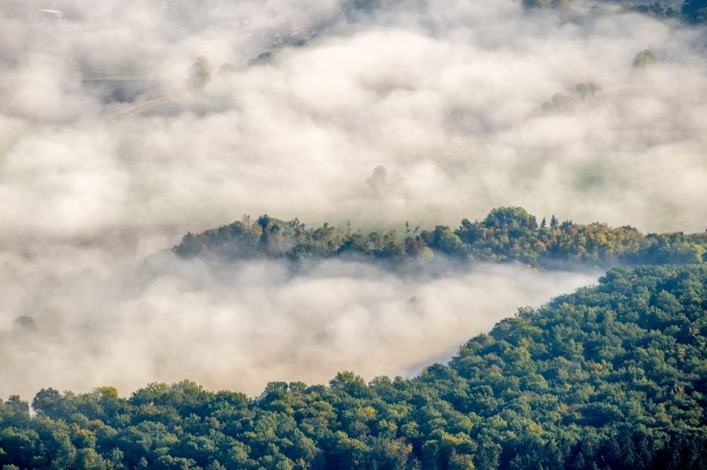 Luftbild Dassel - Wetterlage mit schichtartiger Nebel- Bedeckung an einem Waldgebiet in Dassel im Bundesland Niedersachsen, Deutschland
