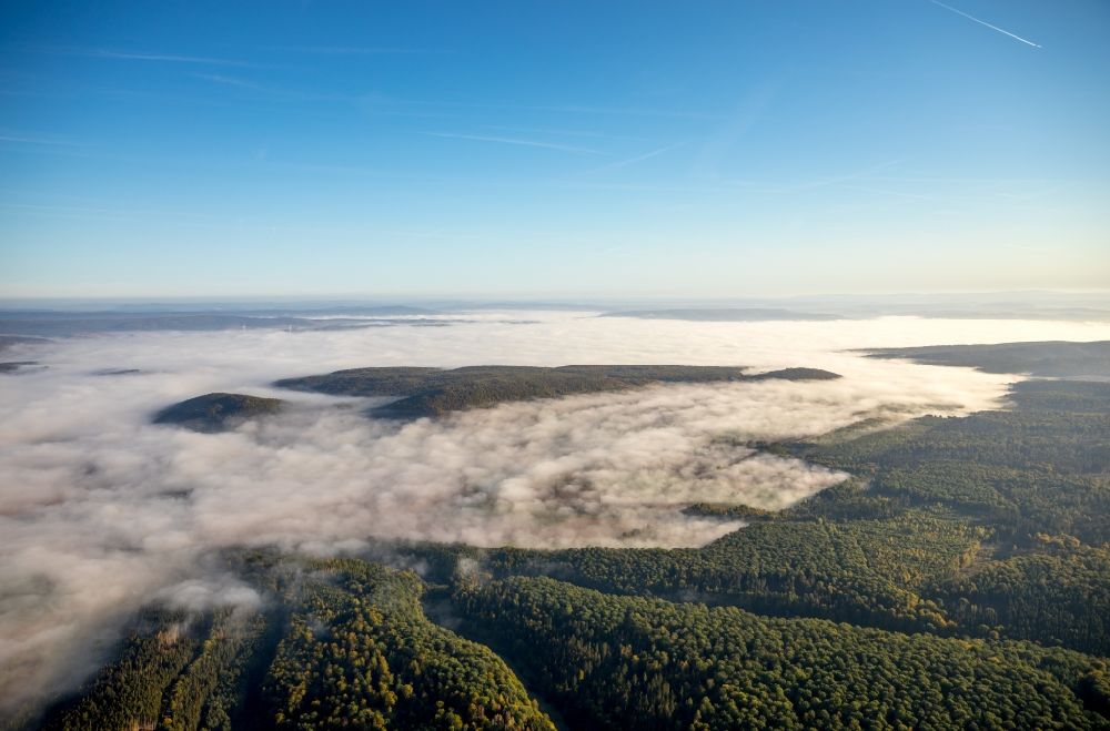 Dassel von oben - Wetterlage mit schichtartiger Nebel- Bedeckung an einem Waldgebiet in Dassel im Bundesland Niedersachsen, Deutschland
