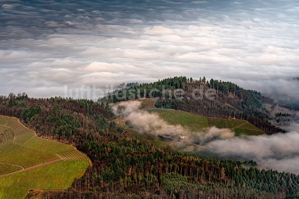 Oberkirch von oben - Wetterlage mit schichtartiger Nebel- Bedeckung Wald und Reblandschaft in Bottenau bei Oberkirch im Bundesland Baden-Württemberg, Deutschland