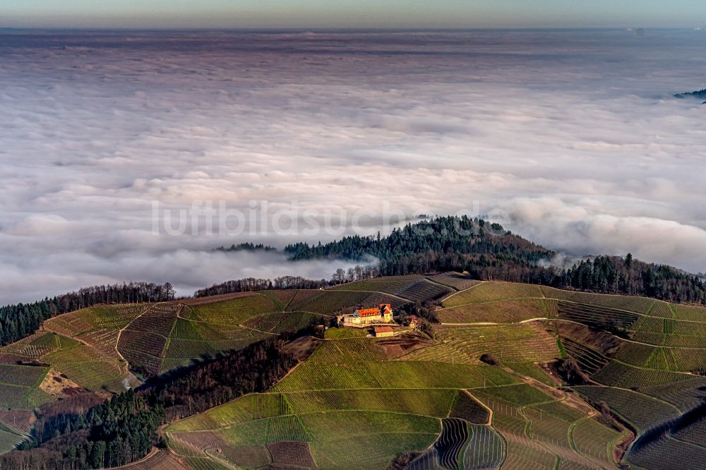 Luftaufnahme Durbach - Wetterlage mit schichtartiger Nebel- Bedeckung in den Weinbergen bei in Durbach im Bundesland Baden-Württemberg, Deutschland