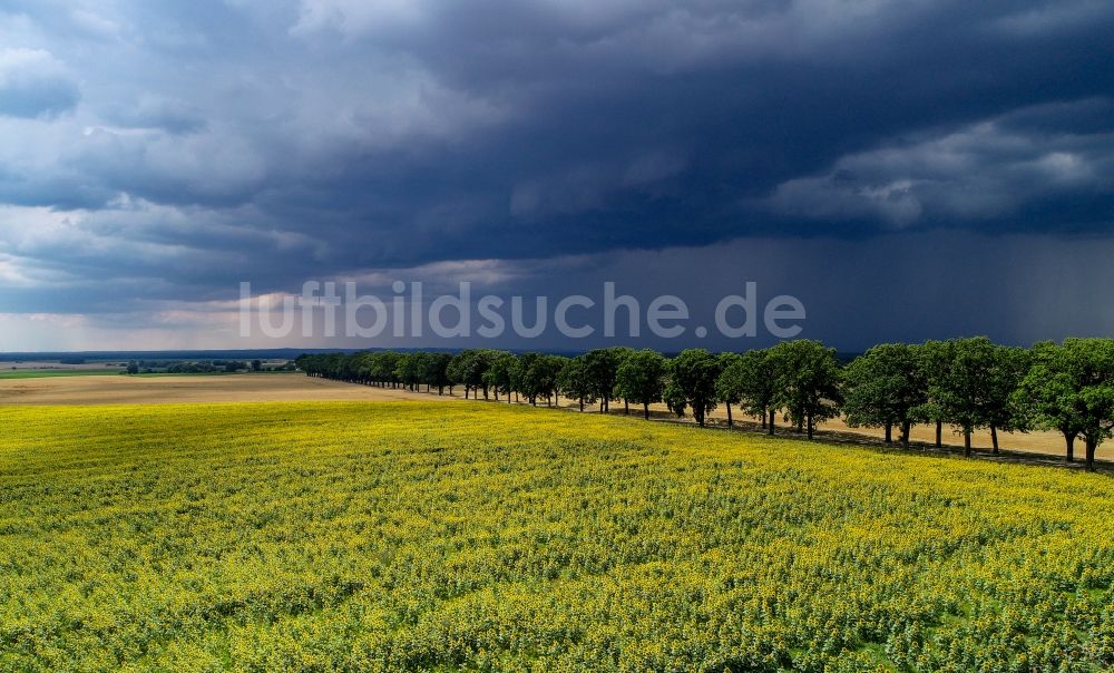 Petersdorf aus der Vogelperspektive: Wetterlage mit Wolkenbildung und Regen in Petersdorf im Bundesland Brandenburg, Deutschland