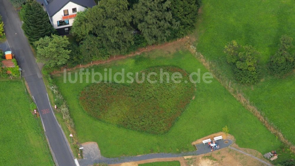 Luftaufnahme Rauschendorf - Wiese in Herzform in Rauschendorf im Bundesland Nordrhein-Westfalen, Deutschland
