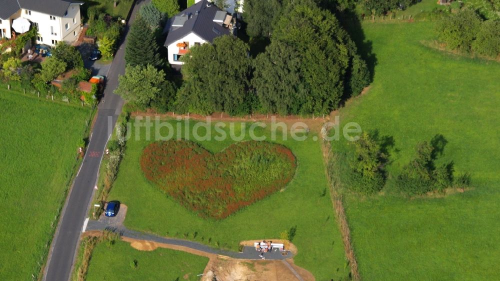 Rauschendorf aus der Vogelperspektive: Wiese in Herzform in Rauschendorf im Bundesland Nordrhein-Westfalen, Deutschland