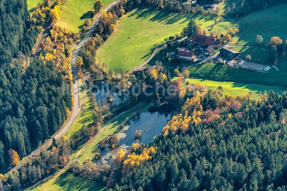 Alpirsbach von oben - Wiesen- Landschaft und Weiher der oberen Kinzig in Alpirsbach im Bundesland Baden-Württemberg, Deutschland