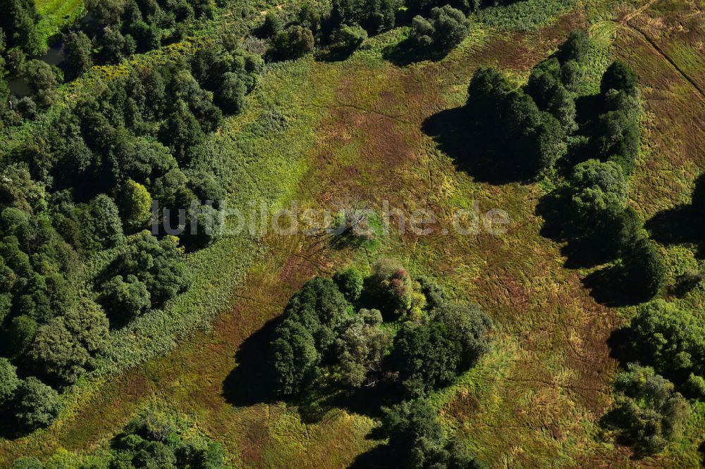 Luftbild Leipe - Wiesen- und Wald- Landschaft bei in Leipe im Bundesland Brandenburg, Deutschland