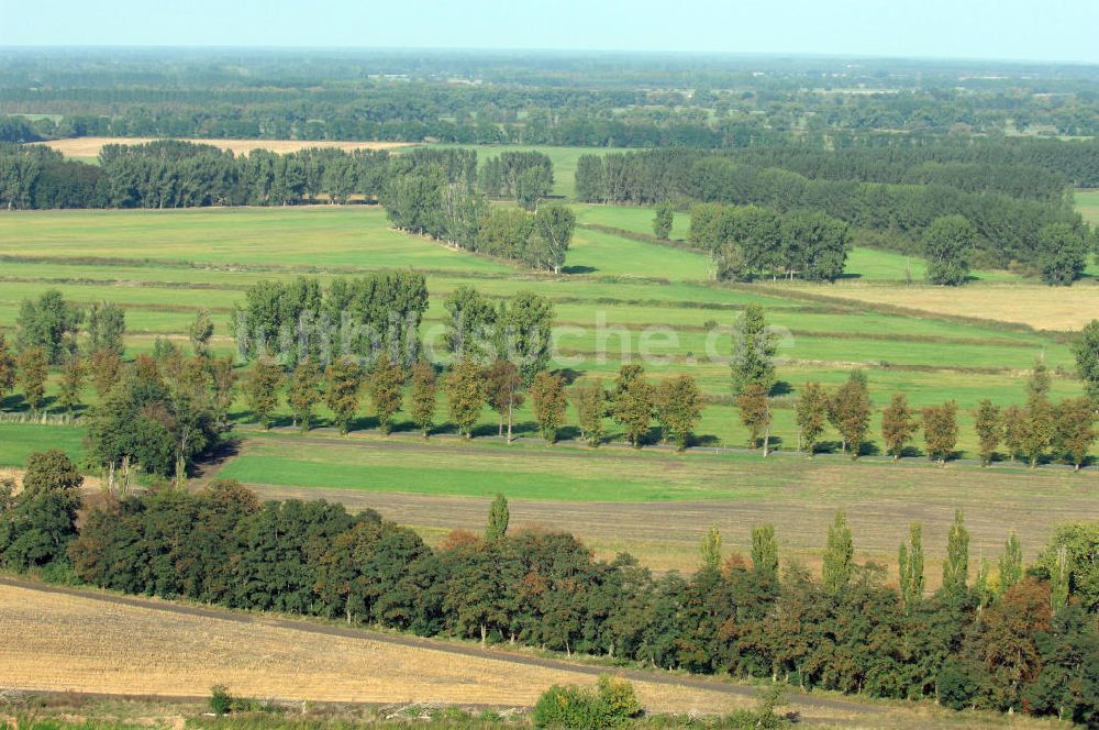 Luftaufnahme Utershorst - Wiesenflächen und Melorationsflächen Am Kanal in Utershorst