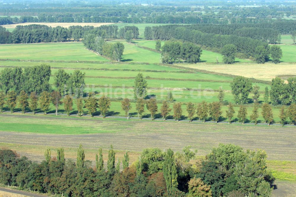 Utershorst von oben - Wiesenflächen und Melorationsflächen Am Kanal in Utershorst