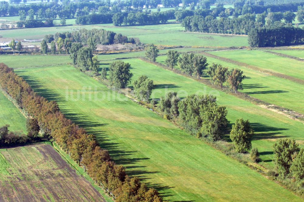 Utershorst aus der Vogelperspektive: Wiesenflächen und Melorationsflächen Am Kanal in Utershorst