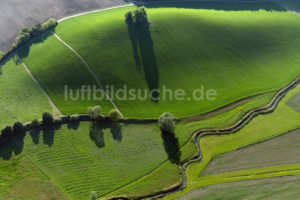 Luftbild Salem - Wiesenlandschaft in Salem im Bundesland Baden-Württemberg, Deutschland
